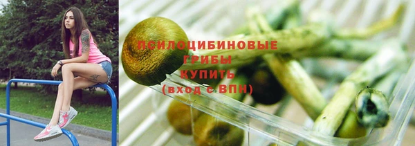 соль курить ск Белокуриха