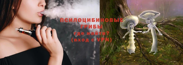 соль курить ск Белокуриха