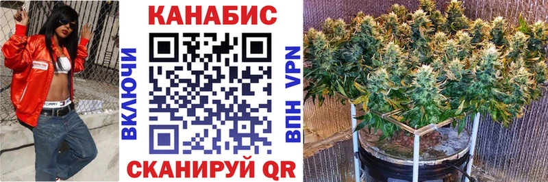 Бошки марихуана AK-47 Шилка